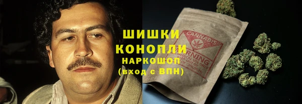 ГАЛЛЮЦИНОГЕННЫЕ ГРИБЫ Братск